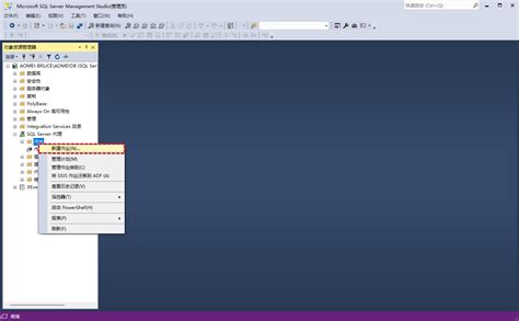 SQL Server Backup 的图像结果
