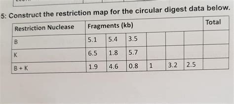 Circular Restriction Mapping 的图像结果