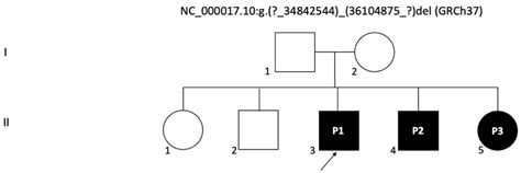 17q12 Recurrent Deletion Syndrome in Childhood