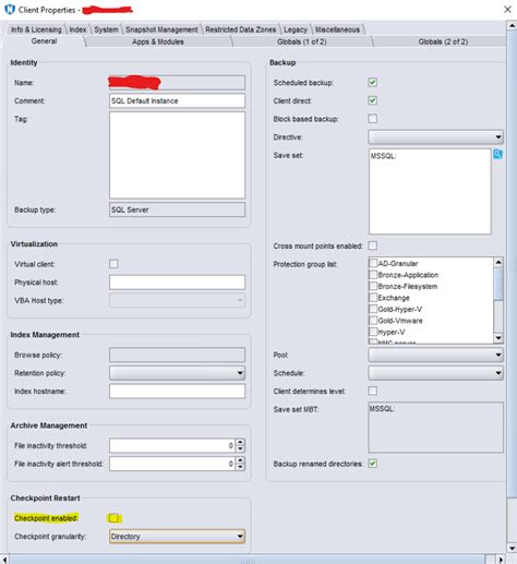 Image result for Dell Networker SQL Backup