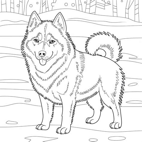 Husky coloring pages - ColoringLib