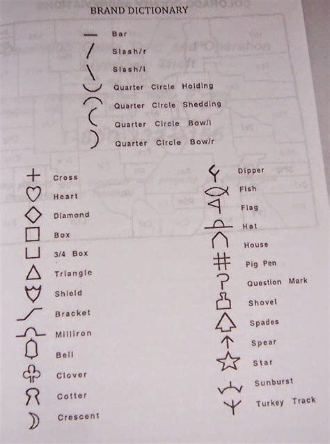 Branding Iron Cattle at Jasmine Satterwhite blog