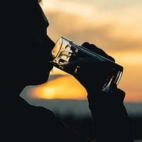 Image result for Original Gulp Sound