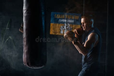 Boxer Boxing 的图像结果