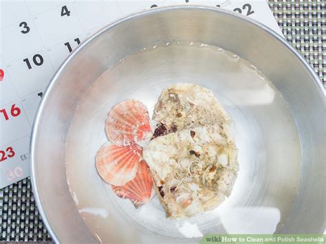 How to Polish Shells 的图像结果