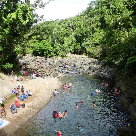 PUERTO RICO ACCESS TOURS (2025) All You Need to Know BEFORE You Go ...