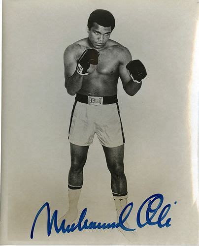 Image result for Muhammad Al Signature