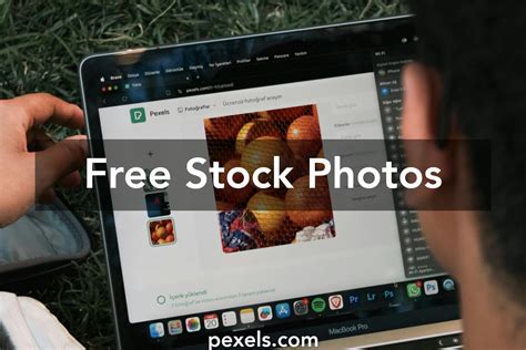 Fruit Graphics 的图像结果