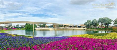 Image result for VIP Experience