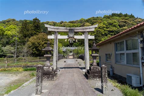八天神社 参道と鳥居 写真素材 [ 5975322 ] - フォトライブラリー photolibrary