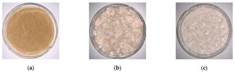 Preparation and Characterization of Microcellulose and Nanocellulose ...