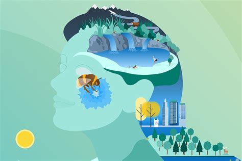 Regional launch of Europe’s environment 2025 marks two decades of partnership with EEA’s cooperating