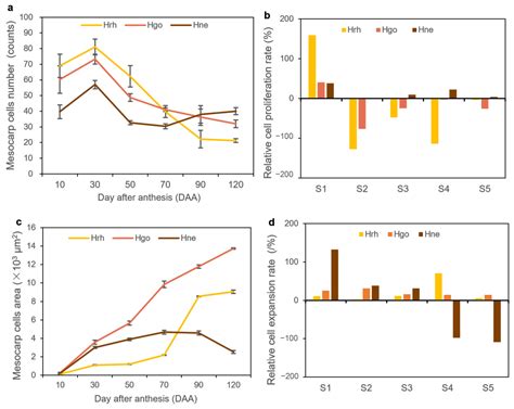 The Study on Sea Buckthorn (Genus Hippophae L.) Fruit Reveals Cell ...