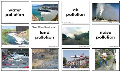 Main Types of Pollution 的图像结果