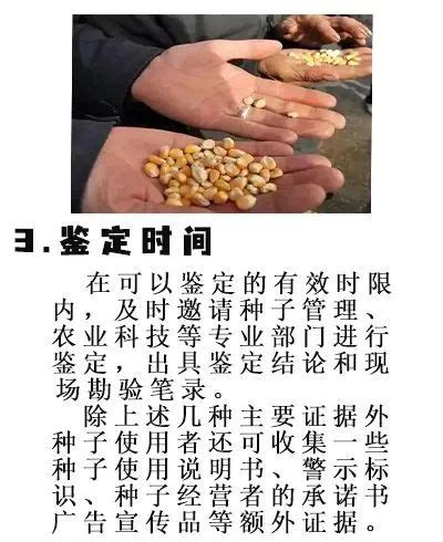 买种子，先了解《种子法》的这些规定！_简讯_资讯_种业商务网