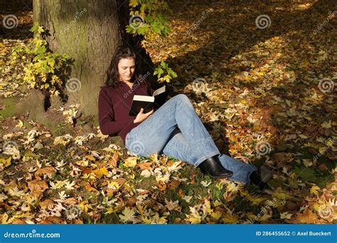 Reading Under a Tree 的图像结果