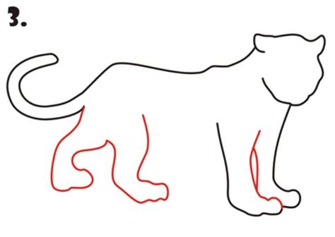 Image result for How to Draw Leopard Print