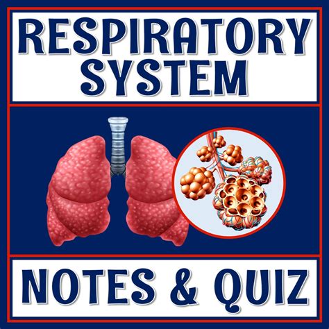 Respiratory Anatomy Quiz at Jennifer Pardue blog - anatomy of respiratory system in poultry