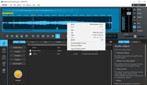 Image result for Magic Audio Cleaning Lab 4 Edit Tutorial