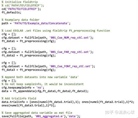 EEG MATLAB Load File 的图像结果