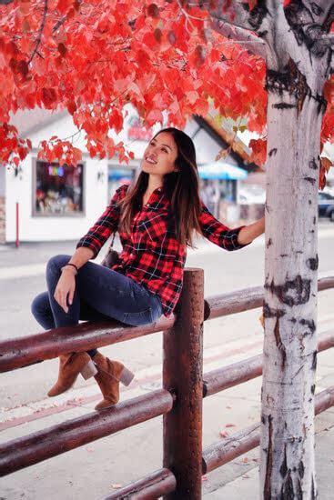 Image result for Nik Tutorial