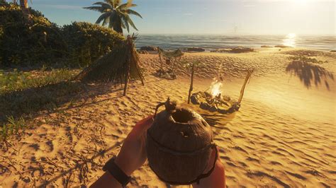 Image result for Stranded Deep Basics