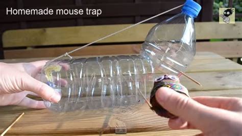 Electronic Mouse Trap Homemade 的图像结果