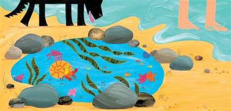 Image result for Sharing a Shell Plot