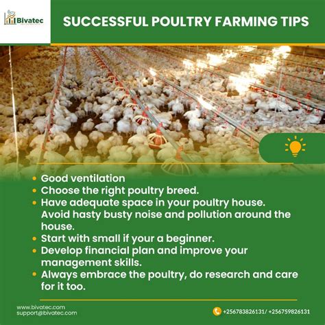 Mention 10 Poultry Equipment And Their Main Use at Ellie Costello blog