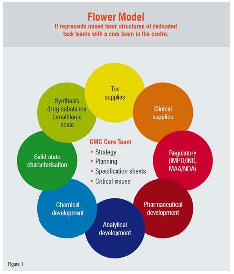 Image result for Early Formulation Development