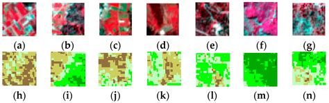FlexibleNet: A New Lightweight Convolutional Neural Network Model for ...