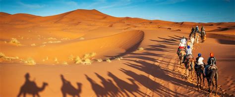Desert Safari in Saudi Arabia: Perfect blend of Adventure and Serenity