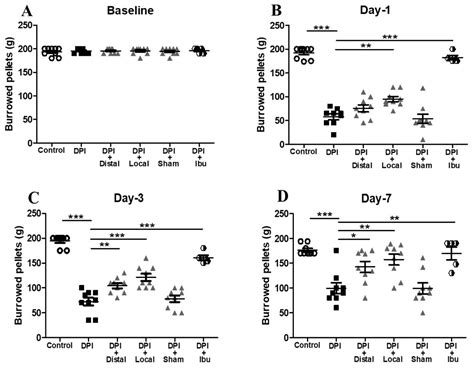 Analgesic and Neuroprotective Effects of Electroacupuncture in a Dental ...