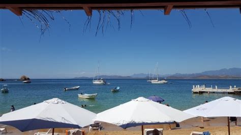 Great place for a day trip! - Reviews, Photos - Lili Cipriani - Tripadvisor