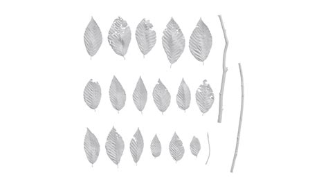 Anydrafts Fagus Leaves Textures Pack 3D Model - TurboSquid 2343663