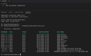 Image result for PowerShell Using Python On Linux Host
