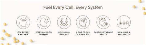 Vitamin B Complex Capsules for Energy & Metabolism