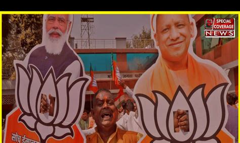 Tickets of these 11 mayors of BJP are fixed, three will get life ...