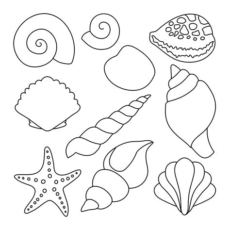 Coloring Pages Sea Shells
