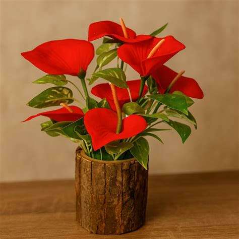 Dekorly | Artificial Plants, Decorative Flowers & Home Decor