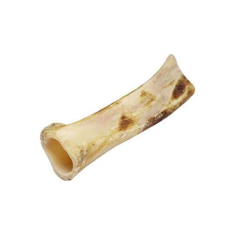 Buy Petrix Buffalo Femur Bone 9 Inch-Natural, Dog Chew Bones for ...