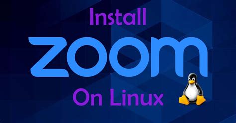 Zoom Client Linux 的图像结果