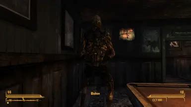 Image result for Fallout New Vegas Randomizer