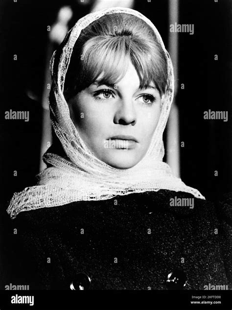 JULIE CHRISTIE in DOCTOR ZHIVAGO (1965), directed by DAVID LEAN. Credit: CARLO PONTI/MGM / Album ...
