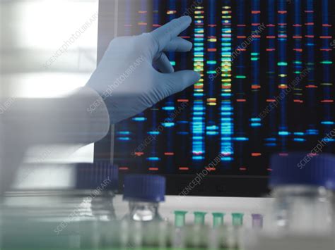 Image result for What Is DNA Analysis