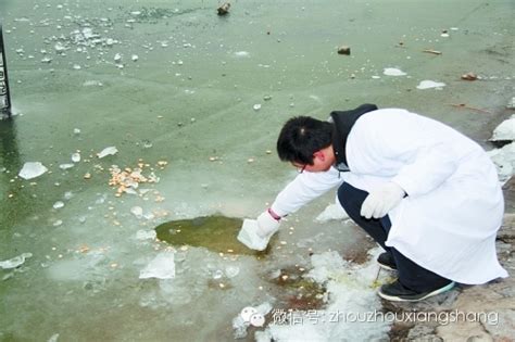 【修复地球】环保部14日发布中国人群环境暴露行为模式研究成果 - 周周向上 - 新农资360网|土壤改良|果树种植|蔬菜种植|种植示范田|品牌 ...