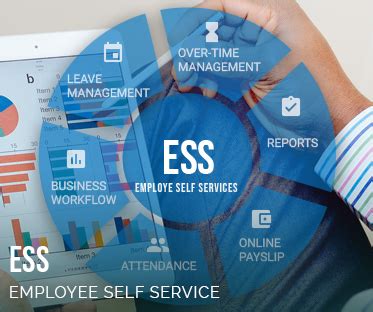 Image result for ESS Technology Products