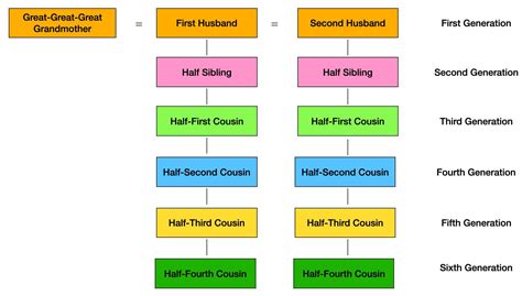 How Do Family Trees Work With Cousins? - Family Tree Resources