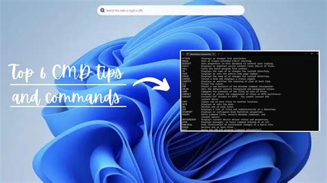 Image result for Cmd Administrateur Windows 1.0