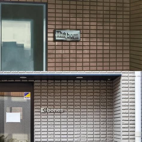 Studio Bones produced anime such as Full Metal Alchemist, Mob Psycho 100 & Joze to Tora to ...